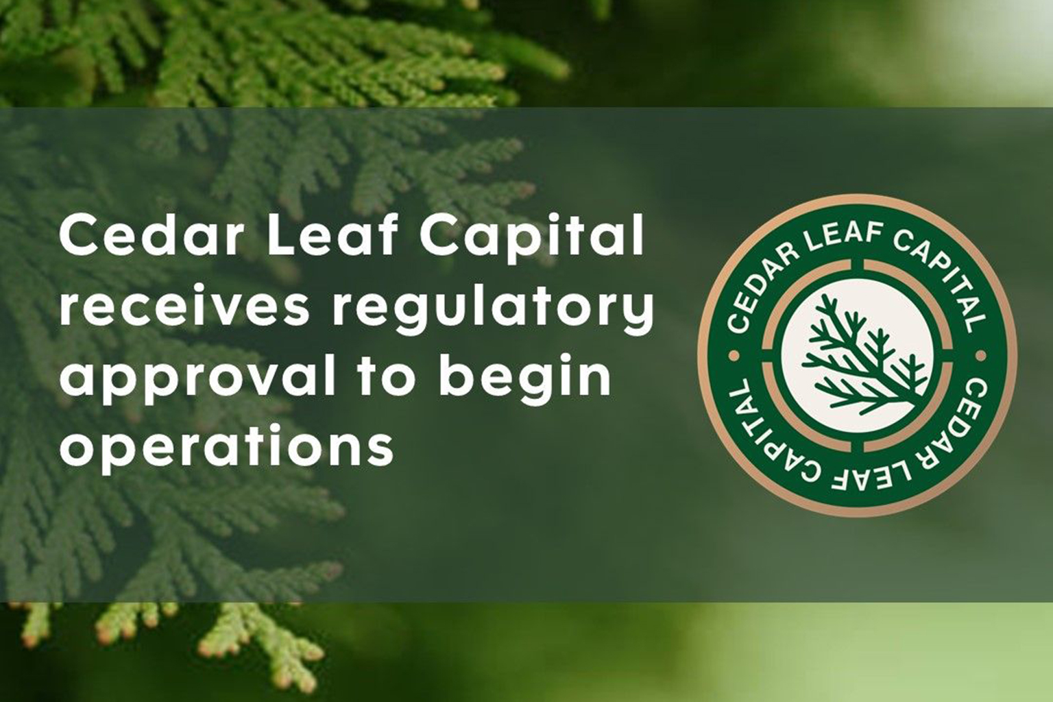 Des Nedhe Opens the Market With Cedar Leaf Capital: Canada’s First Majority Indigenous-Owned Investment Dealer Receives Regulatory Approval